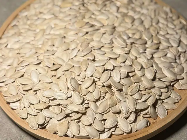 Kabak Çekirdekleri — Pumpkin Seeds